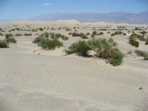 Mesquite Flats Sand Dunes, Death Valley, Kalifornien