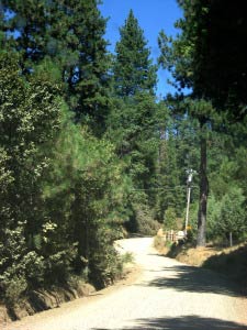 Chowchilla Mountain Road, Yosemite, Kalifornien