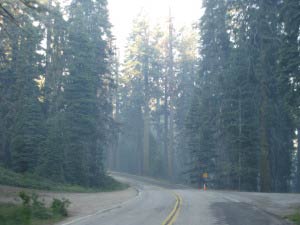 Highway 198, Sequoia, Kalifornien