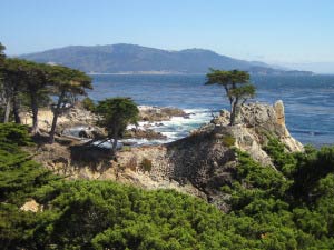 Lone Cypress, 17-Mile Drive, Monterey, Kalifornien