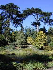 Botanischer Garten, Golden Gate Park, San Francisco, Kalifornien