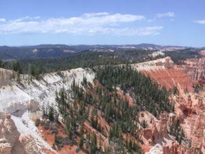 Rainbow Point, Bryce Canyon, Utah