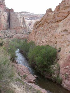 Fremont River, Capitol Reef, Utah