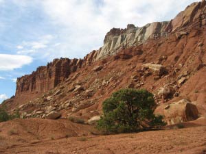 The Cathedral, Capitol Reef, Utah