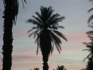 Furnace Creek Ranch, Death Valley, Kalifornien