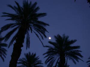 Furnace Creek Ranch, Death Valley, Kalifornien