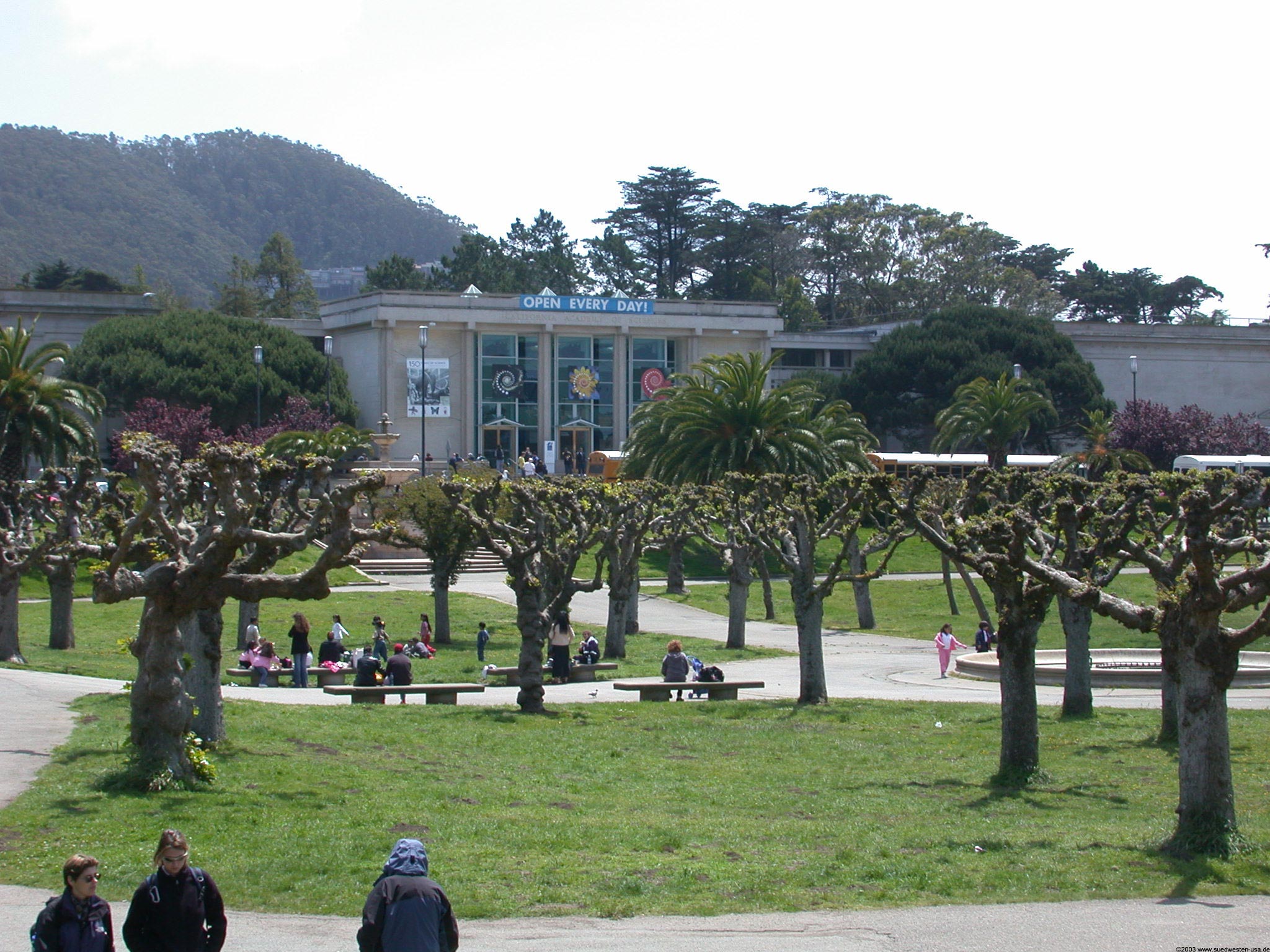 Golden Gate Park Japanese Tea Garden California Academy Of