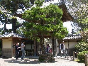 Japanese Tea Garden, Golden Gate Park, San Francisco, Kalifornien