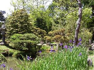 Japanese Tea Garden, Golden Gate Park, San Francisco, Kalifornien