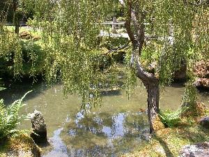 Japanese Tea Garden, Golden Gate Park, San Francisco, Kalifornien