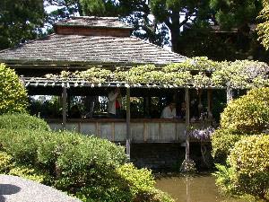 Japanese Tea Garden, Golden Gate Park, San Francisco, Kalifornien