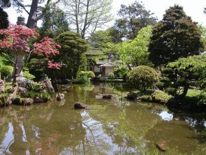 Japanese Tea Garden, Golden Gate Park, San Francisco, Kalifornien