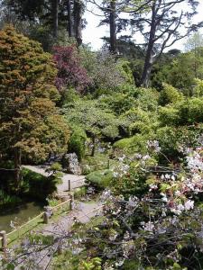 Japanese Tea Garden, Golden Gate Park, San Francisco, Kalifornien