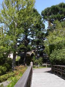 Japanese Tea Garden, Golden Gate Park, San Francisco, Kalifornien