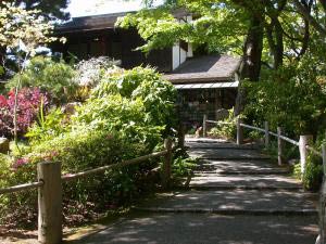 Japanese Tea Garden, Golden Gate Park, San Francisco, Kalifornien