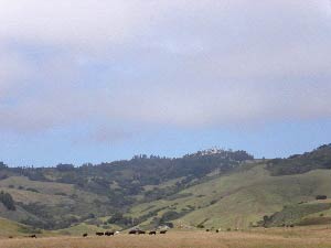 Hearst Castle, Kalifornien