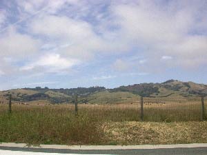 Hearst Castle, Kalifornien