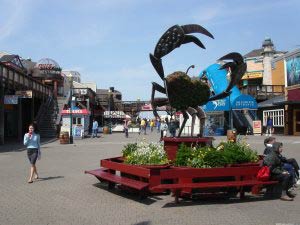 Pier 39, Fishermans Wharf, San Francisco, Kalifornien