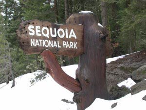 Sequoia National Park, Kalifornien