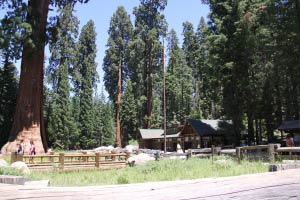 Giant Forest Museum, Sequoia National Park, Kalifornien