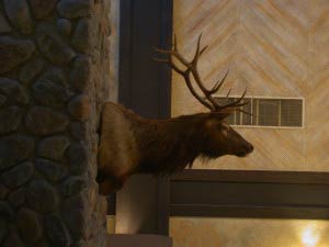 Yosemite, Tenaya Lodge, Kalifornien