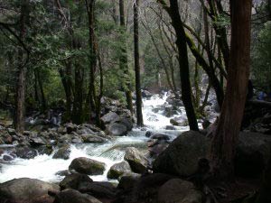 Bridalveil Creek, Yosemite, Kalifornien