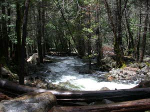 Bridalveil Creek, Yosemite, Kalifornien