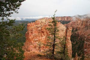 Black Birch Canyon Overlook, Bryce Canyon, Utah