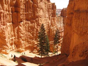 Queens Garden Trail, Bryce Canyon, Utah