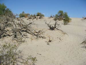 Mesquite Flats Sand Dunes, Death Valley, Kalifornien