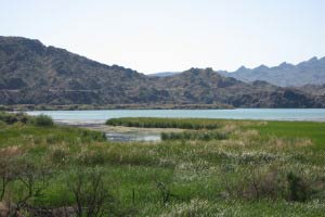 Bill Williams River National Wildlife Refuge, Lake Havasu, Arizona