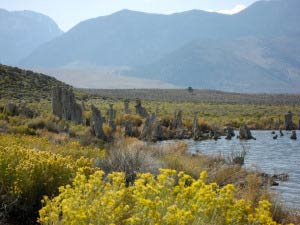 South Tufa Area, Mono Lake, Kalifornien