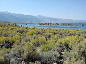 South Tufa Area, Mono Lake, Kalifornien