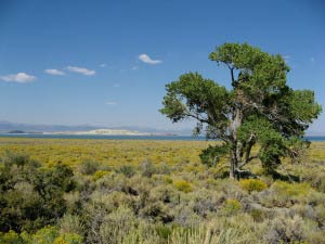 South Tufa Area, Mono Lake, Kalifornien