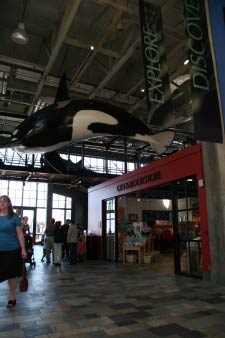 Monterey Bay Aquarium, Monterey, Kalifornien