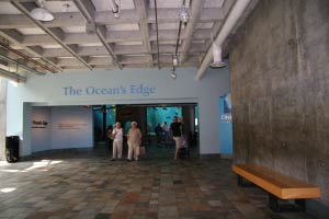 Monterey Bay Aquarium, Monterey, Kalifornien