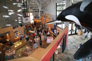 Monterey Bay Aquarium, Monterey, Kalifornien