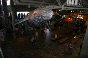 Monterey Bay Aquarium, Monterey, Kalifornien