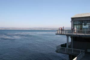 Monterey Bay Aquarium, Monterey, Kalifornien