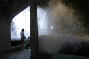 Monterey Bay Aquarium, Monterey, Kalifornien