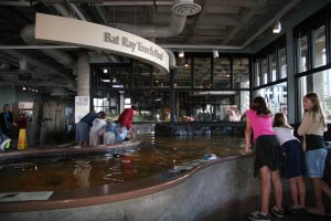 Monterey Bay Aquarium, Monterey, Kalifornien