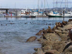 Cannery Row, Monterey, Kalifornien