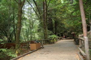 Muir Woods, Kalifornien