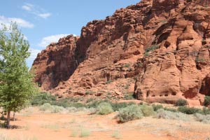 Snow Canyon, Utah