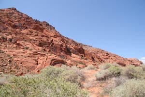 Snow Canyon, Utah