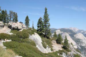 Geology Hut, Lower Yosemite Falls, Glacier Point, Yosemite, Kalifornien