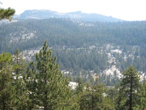 Tioga Pass, Yosemite, Kalifornien