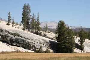 Tuolumne Meadows, Tioga Pass, Yosemite, Kalifornien