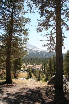 Tuolumne River, Tioga Pass, Yosemite, Kalifornien