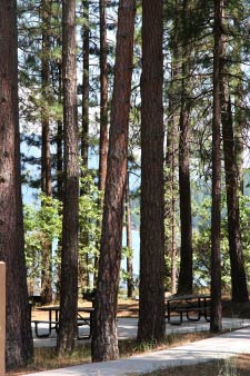 Bass Lake, Kalifornien